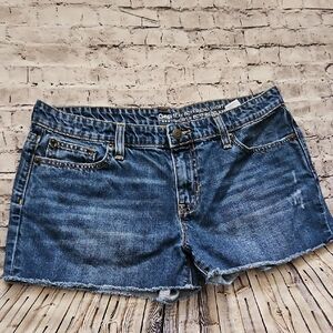 Gap Blue Denim Sexy Boyfriend Shorts Size 8/29
